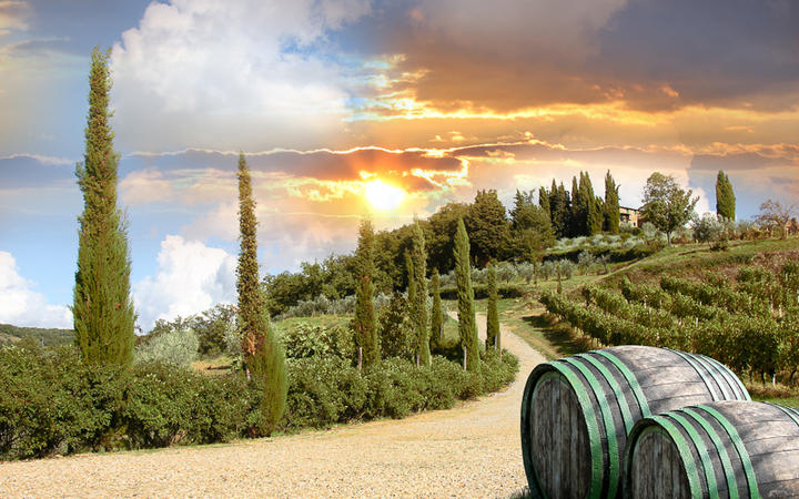 Idyllische Landschaft im Chiantital und seiner Weinberge, Umbrien, Italien © Samot / Shutterstock.com