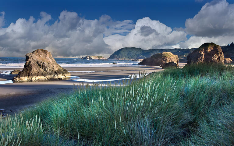 Küstenlandschaft von Oregon © Peter Kunasz / Shutterstock.com