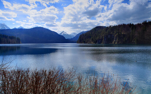 Schwanensee © mironov / shutterstock.com