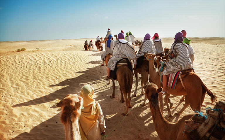 Kamel-Trekking durch die Wüstenlandschaft, Tunesien © Adisa / Shutterstock.com