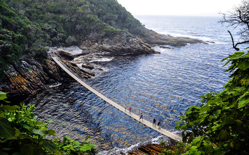 Hängebrücke an der Mündung des Storms River, Tsitsikamma National Park © Pieter Stander / Shutterstock.com