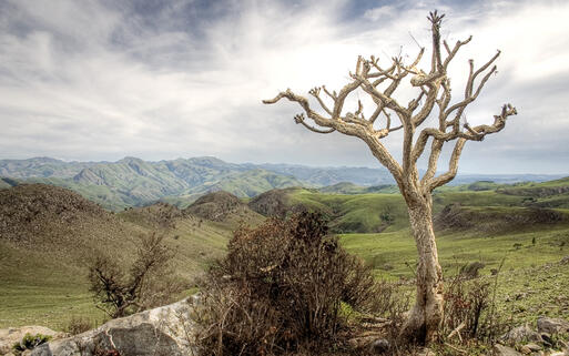 Mlilvane Wildlife Schutzgebiet in Swasiland © Peky / Shutterstock.com