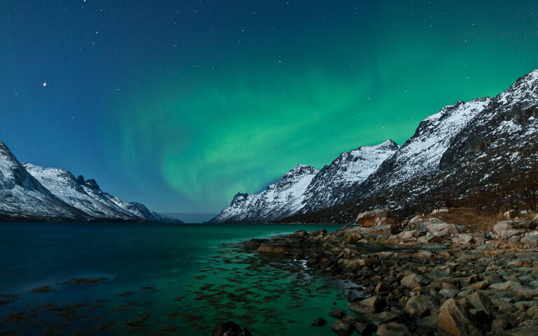 Das Polarlicht Aurora Borealis © Jamen Percy / Shutterstock.com