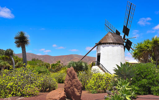 Alte Windmühle in Antigua auf Fuerteventura © nito / shutterstock.com