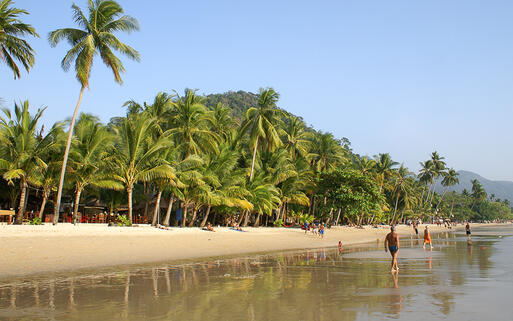 Kokosnusspalmen am schönen Strand von Ko Chang, Thailand © Mikhail Nekrasov / shutterstock.com