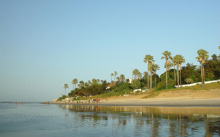 Ein Strand an der Küste von Gambia © Alan Kraft / Shutterstock.com