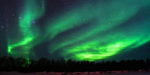 Polarlichter in der Nähe von Kaamanen, Finnland © Jorg Hackemann / Shutterstock.com