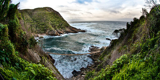Die spektakuläre Küste des Tsitsikamma National Parks in Südafrika © Ethan Daniels / Shutterstock.com