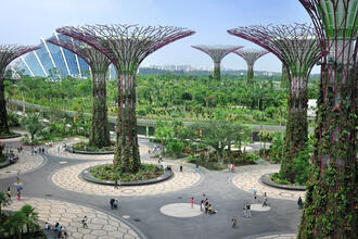 Das Parkgelände Gardens by the Bay im Zentrum Singapurs © tristan tan / Shutterstock.com