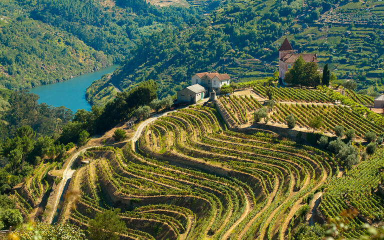Weinberge am Fluss Douro © PhotoNeo / Shutterstock.com