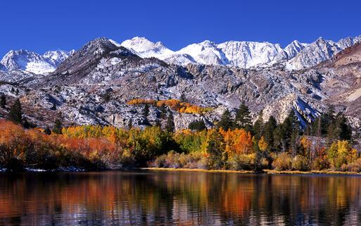 Der Bishop Creek Canyon in der Region Sierra Nevada. Kalifornien, USA © Steven Castro / Shutterstock.com