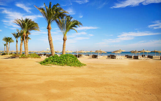 Sandstrand in Sharm el Sheikh © Lyubov Timofeyeva / Shutterstock.com