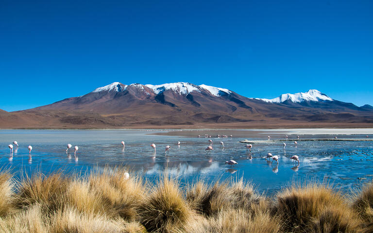 Blaue Lagune, Bolivien © Christian Kohler / shutterstock.com