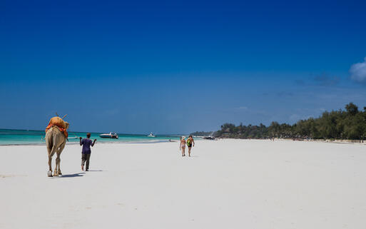 Tropischer weisser Sandstrand am schönen Diani Beach, Kenia Südküste © Wansfordphoto / Shutterstock.com