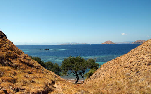Blaue Lagune auf der Insel Gili Banta nahe des Komodo-Nationalparks © Takashi Usui / Shutterstock.com