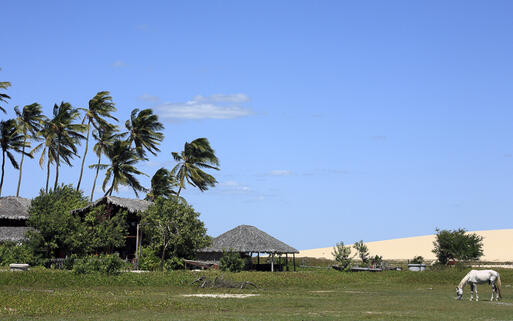 Fischerdorf Jericoacoara © ostill / shutterstock.com