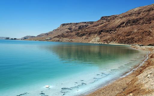 Küste am Toten Meer © ChameleonsEye / Shutterstock.com