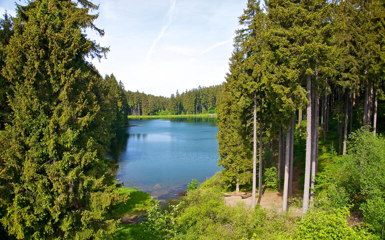 See im Harz, umgeben von Wäldern © Gert Hochmuth / shutterstock.com