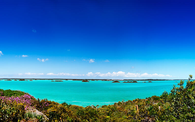 Blick auf den Chalk Sound Nationalpark auf der Insel Providenciales © Jo Ann Snover / Shutterstock.com