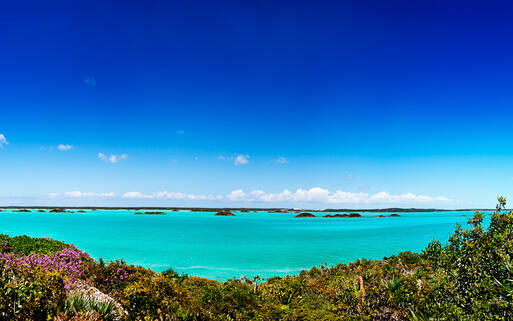 Blick auf den Chalk Sound Nationalpark auf der Insel Providenciales © Jo Ann Snover / Shutterstock.com