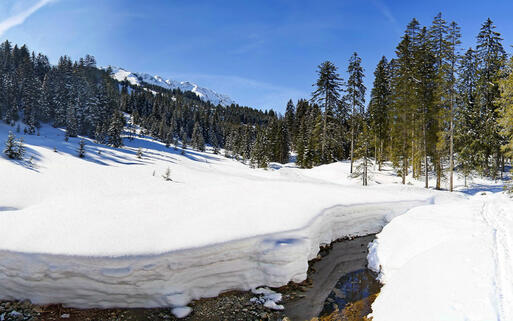 Winterlandschaft im Kleinwalsertal © fotoping. / shutterstock.com