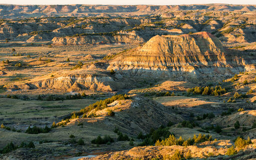 Vom Painted Canyon gezeichnete Landschaft im Theodore Roosevelt Nationalpark © Nagel Photography / shutterstock.com