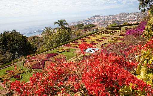 Botanischer Garten in Funchal © Olga A / Shutterstock.com
