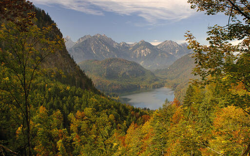 Alpsee in Allgau © Pavel Pospisil / shutterstock.com