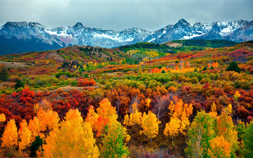Colorado im Herbst © Peter Kunasz / Shutterstock.com