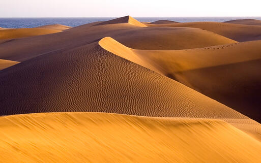 Die Wüste "Dunas de Maspalomas" auf Gran Canaria, Spanien © Mette Brandt / Shutterstock.com