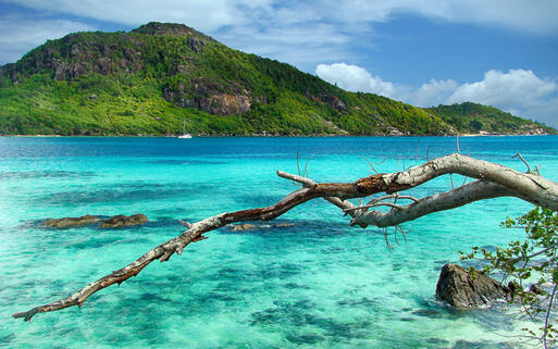 Paradiesische blaue Lagune © Jerome Stubbs