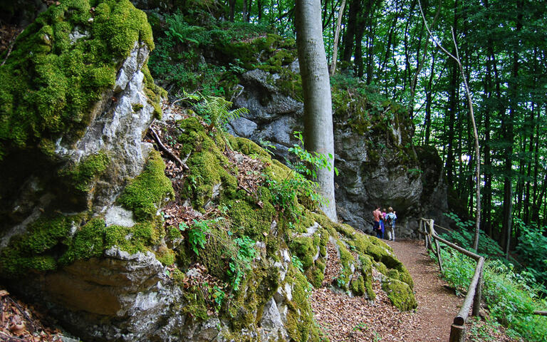 Waldwanderung im Hessischen Bergland © shootsphoto, Germany / shutterstock.com