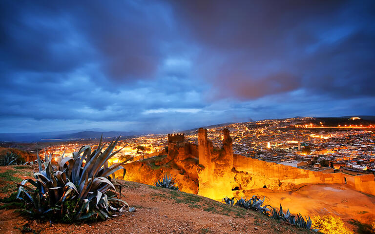 Blick über die Stadt Fes el Bali in der Abenddämmerung, Marokko © Rechitan Sorin / Shutterstock.com