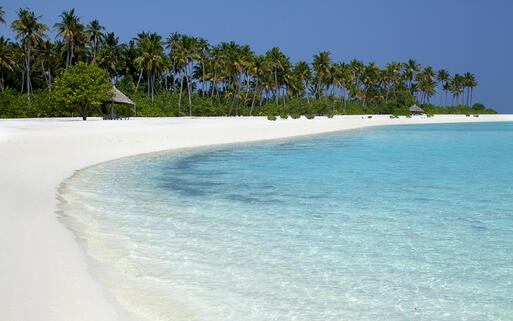 Tropisch weißer Sandstrand auf den Malediven © Andrzej Kubik