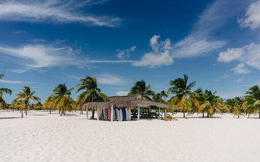 Palmen am karibischen Strand von Cayo Largo © Vladimir Krupenkin / Shuttertock.com