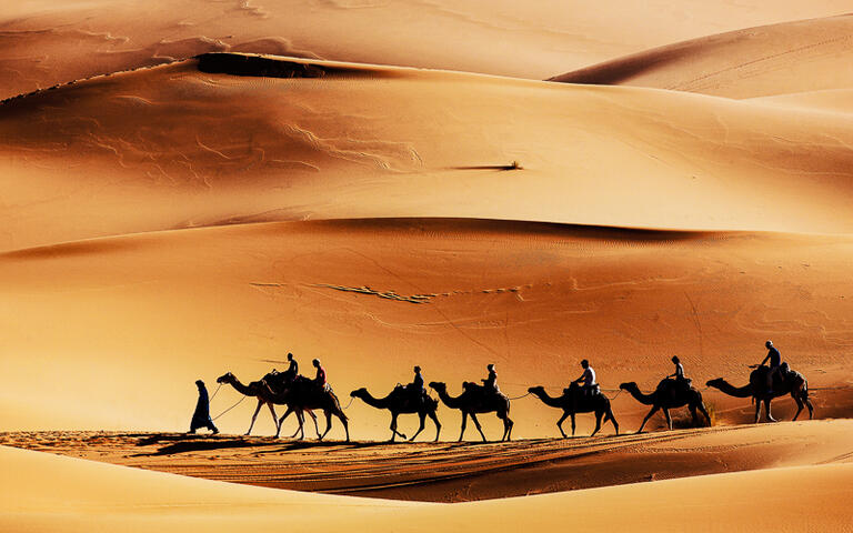Eine Kamel-Karawane in der Sahara © Rechitan Sorin / Shutterstock.com