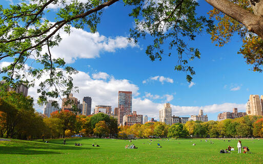 Die Skyline von Manhatten vom Central Park aus gesehen, New York, USA © / Shutterstock.com