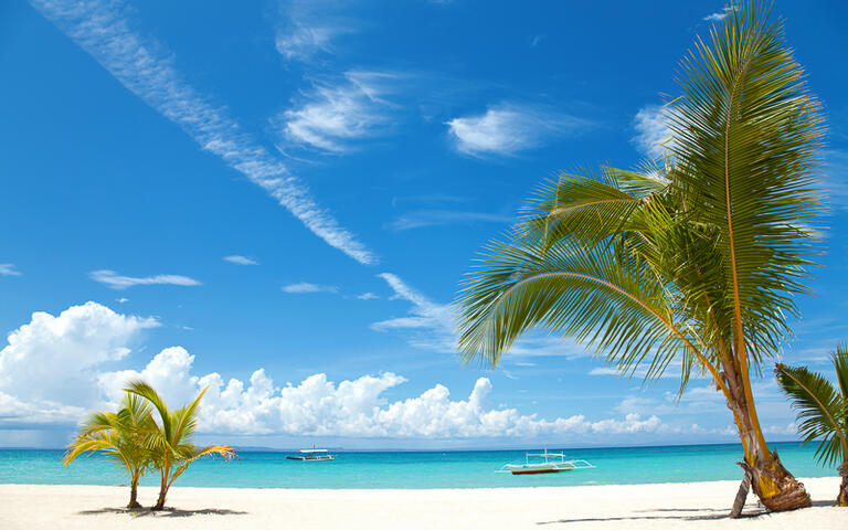 Weißer Sandstrand mit Palme auf der traumhaften Insel Bantayan © T Anderson / Shutterstock.com