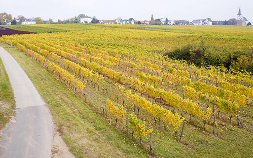 Hochheim © PHB.cz (Richard Semik) / shutterstock.com