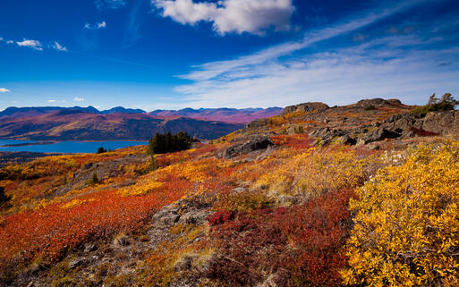 See inmitten eines bunten Herbstwalds in Yukon, Kanada © Pi-Lens / Shutterstock.com
