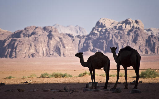 Wadi Rum © Anthon Jackson / Shutterstock.com