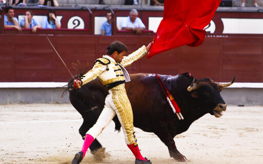 Ein Stierkampf von Jesus Fernandez in Las Ventas © Matej Kastelic  / Shutterstock.com