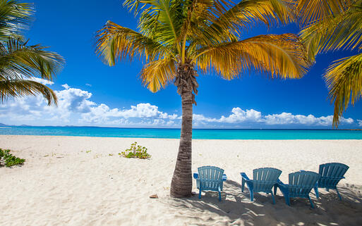 Palmen am feinsandigen Strand auf der Insel Anguilla,  Karibik © BlueOrange Studio / Shutterstock.com