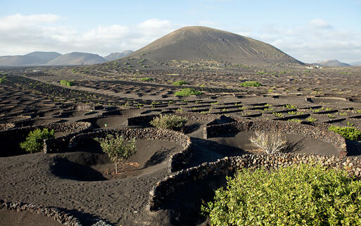 La Geria © Skowronek / Shutterstock.com