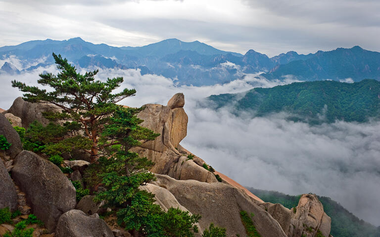 Der Felsen Ulsanbawi am Berg Seoraksan, mitten im  Taebaek-Gebirge in Südkorea © Maxim Tupikov / shutterstock.com
