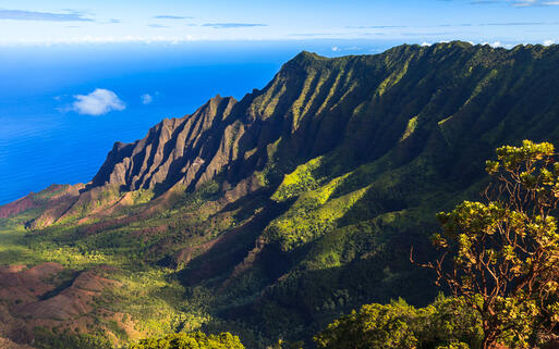 Die Berglanschaft an der Napali Küste, Insel Kauai, Hawaii © Nickolay Stanev / Shutterstock.com