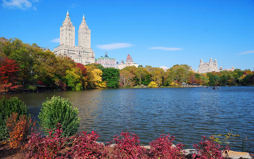 Der Central Park erstrahlt im Herst in bunten Farben, New York, USA © Songquan Deng / Shutterstock.com