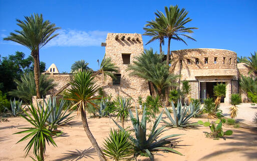 Palmen vor dem Eingang zur Krokodil-Farm auf Djerba, Tunesien © Evgeny Murtola/ Shutterstock.com