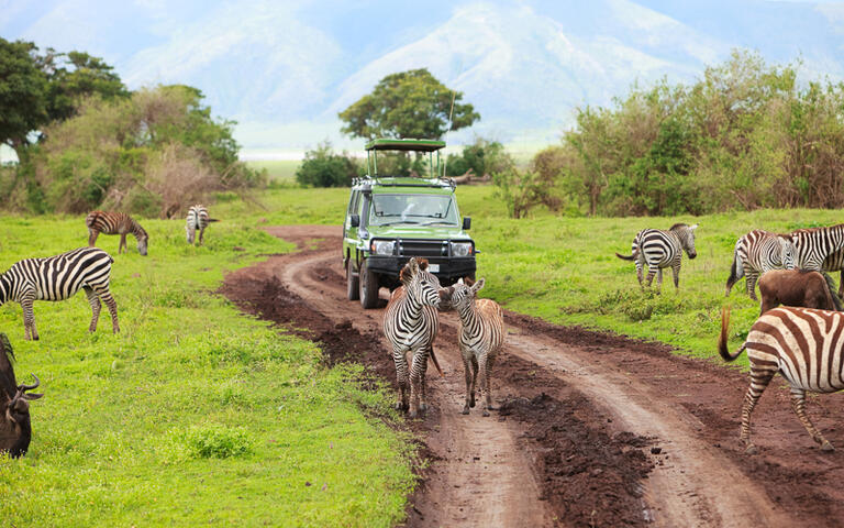 Safari im Ngorongoro-Krater, Naturschutzgebiet und Nationalpark am Rande der Serengeti © BlueOrange Studio / Shutterstock.com