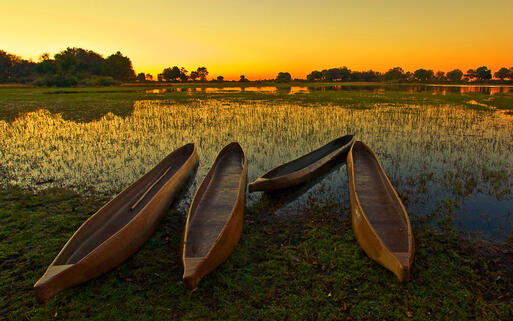 Sonnenaufgang über dem Okavangodelta © Pal Teravagimov / Shutterstock.com